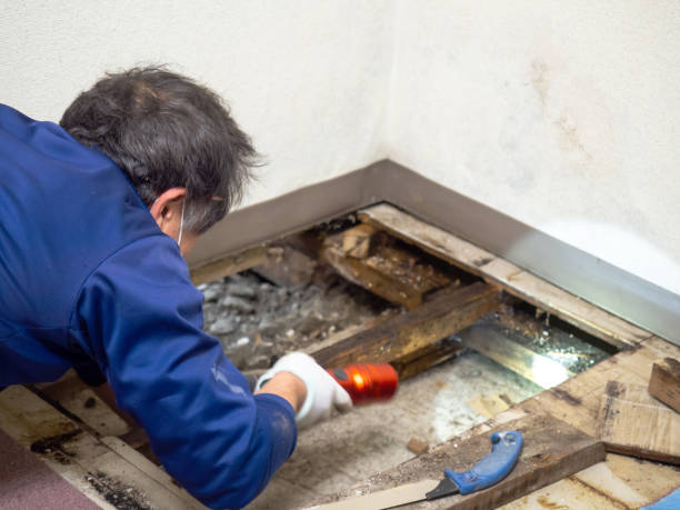 Best Mold Testing  in Caldwell, TX