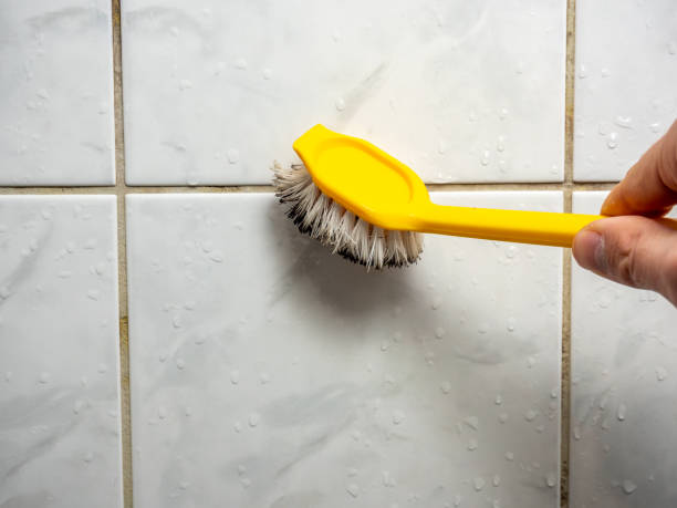 Best Local Mold Removal Service  in Caldwell, TX