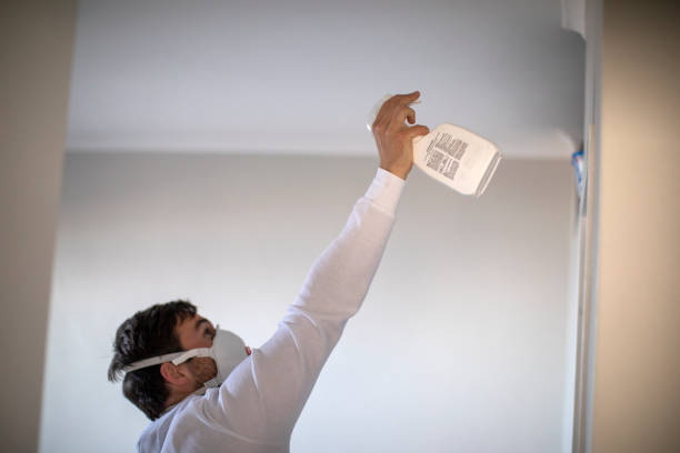 Best Emergency Mold Removal  in Caldwell, TX