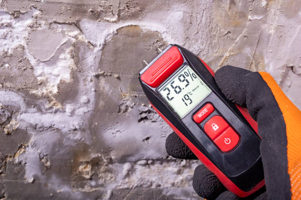 Best Office Mold Removal Services  in Caldwell, TX