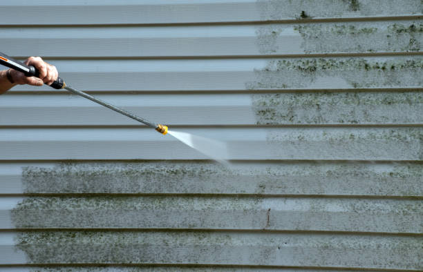 Best Residential Mold Removal  in Caldwell, TX