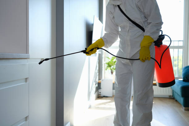 Best Fast Mold Removal  in Caldwell, TX