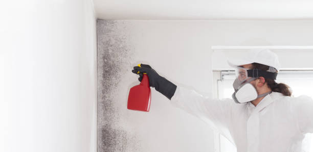 Best Black Mold Removal  in Caldwell, TX