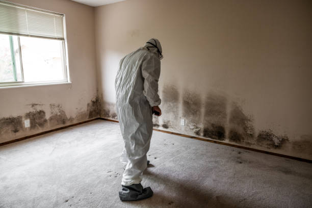 Best Mold Testing  in Caldwell, TX