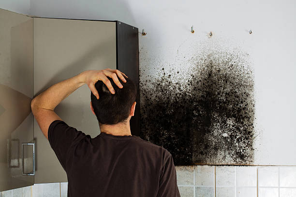 Caldwell, TX Mold Removal Company